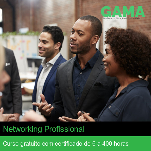 Networking Profissional